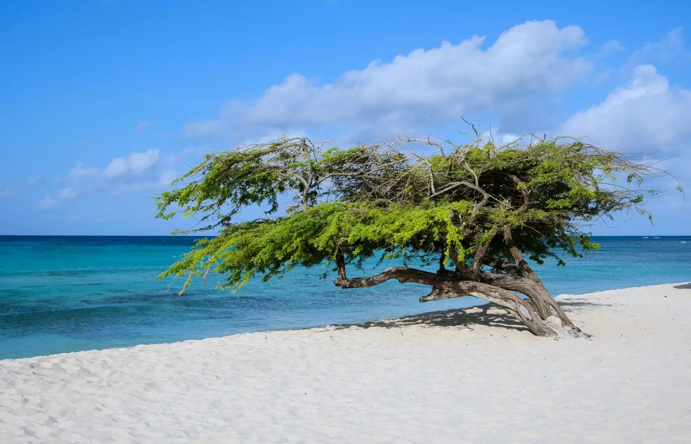 Aruba travel eSIM — stay connected across Aruba with My Holiday SIM