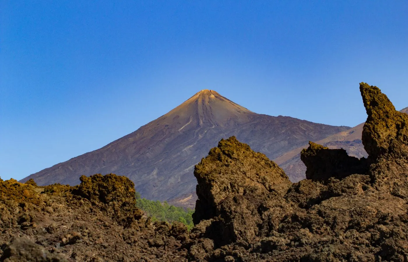 Canary Islands travel eSIM — stay connected across Canary Islands with My Holiday SIM