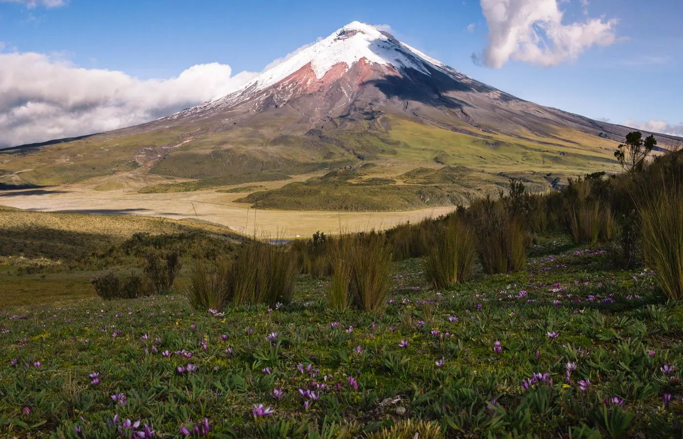 Ecuador travel eSIM — stay connected across Ecuador with My Holiday SIM